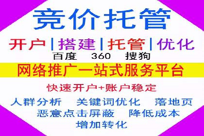 SEM托管服务，实战案例展示营销效果